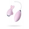 Censan Jos Vita Titreşimli Vajınal Set Pembe 8,5 ve 8 cm Vibratör Censan Jos Vita Titreşimli Vajınal Set Pembe 8,5 ve 8 cm Vibratör