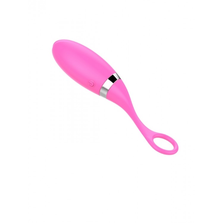 Censan Uzaktan Kumandalı Şarjlı Titreşimli Vibratör