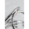 TOYFA Metal Penise Esaret, gümüş