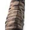 XLover by Toyfa Penis Klıfı, Boyutu Arttırıcı, TPE, siyah, Şeffaf, 22.5 cm