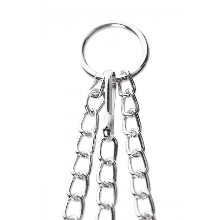 TOYFA Metal Penis Halkalı Meme Kelepçeleri, gümüş, 60 cm