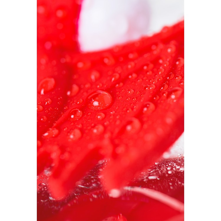 JOS SWEET DEVİL Penis Halkası, silikon, kırmızı, 8,5 cm